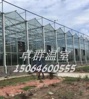 山東省臨沂市紋絡(luò)玻璃溫室