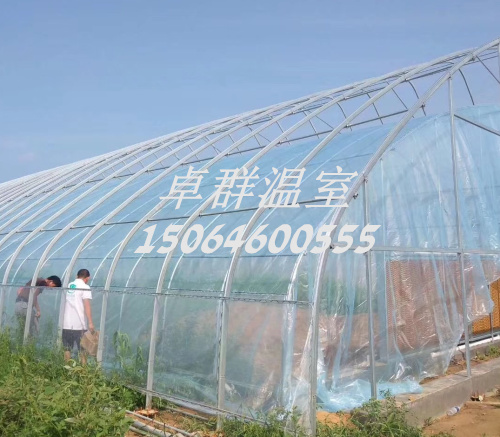 山西省忻州市日光溫室 (3).jpg