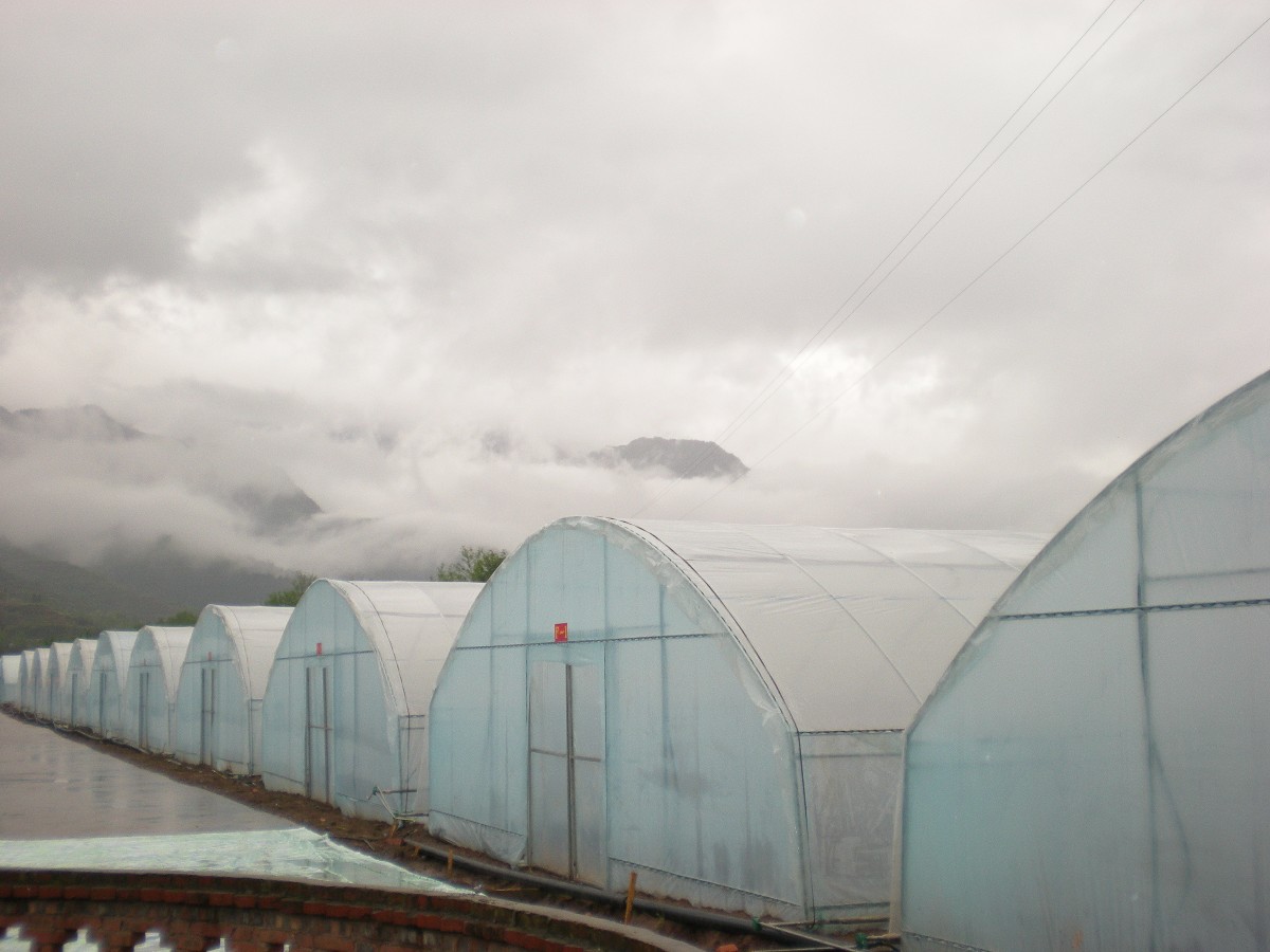 溫室大棚在農業發展中的趨勢"20160118101250711.jpg"/