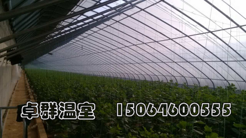 溫室大棚質量把控及通風管理