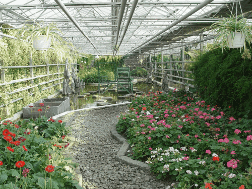 農業大棚溫室前景巨大，其價值不可估量，看完以下幾點就明白了！