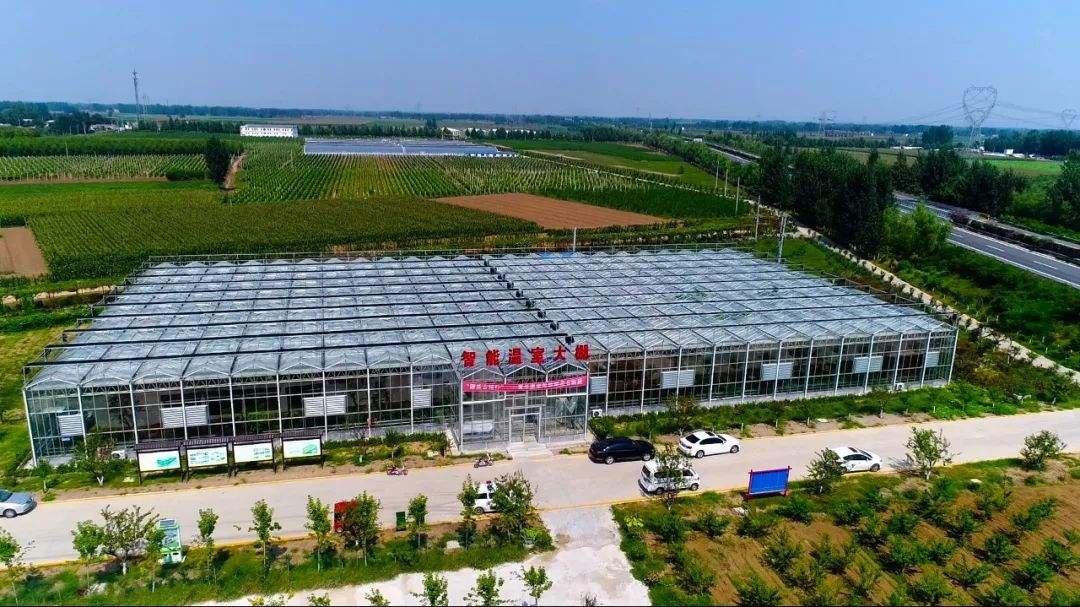 智能溫室大棚種植技術(shù)正在改變的人們的生活