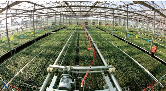 智能溫室生產系統 助力智能農業發展