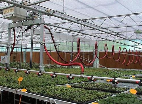  冬季溫室大棚施肥11個建議 