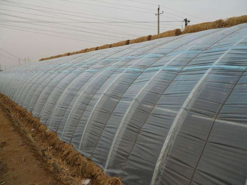 怎么管理溫室大棚收益更高?