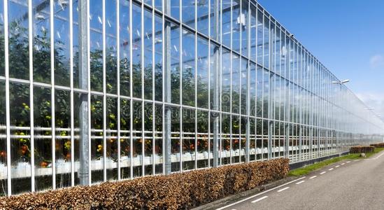 溫室大棚的設計與施工有哪些注意事項？