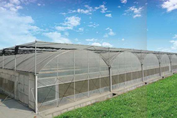 現(xiàn)在建造一個蔬菜溫室大棚大概需要多少錢？