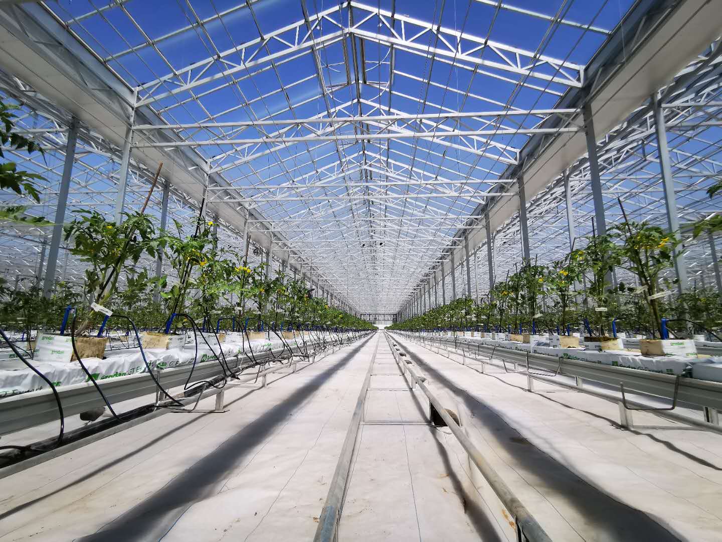 智能溫室.jpg