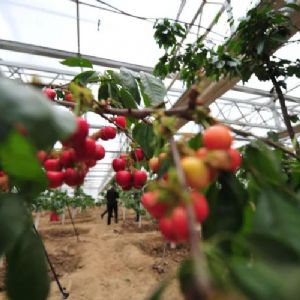 <img src=upfile/images/2022/02/19/small3_16452324934779127.jpg height=150>