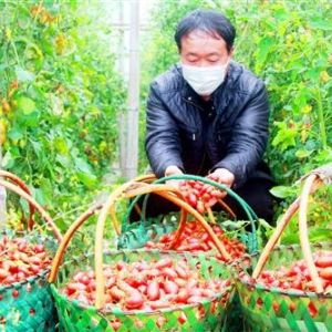 <img src=upfile/images/2022/04/14/small3_16498956379975249.jpg height=150>